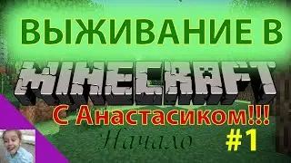 Выживание в МАЙНКРАФТ с Анастасиком!!!День веселья. Рум тур по нашим домам