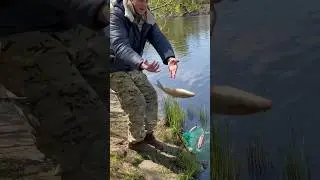 Отпустил подуста!
