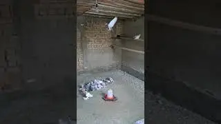 голуби Марата Ащибулак