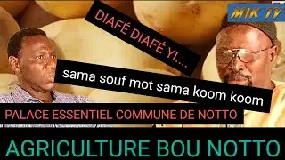 LE SYSTÈME MARAICHAIRE DE NOTTO GOUYE DIAMMA N'EST PAS BON