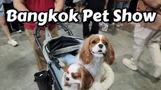 Bangkok Pet Show
