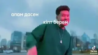 Алам десен килт берем