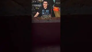 I definitely wasn’t expecting it haha 