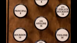 2022 Basilica Concert Series, Concert Organist Adam J. Brakel