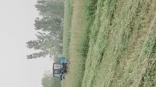 беда уриш вакти