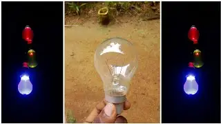 super work from discarded bulbs.... ( Decor IDEAS )very simple