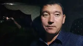 Тула - Новосибирск / встретил говорящего кота/ откуда взялась Шашлычная строица?