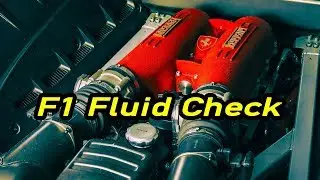 How To Check the F1 Fluid Level in a Ferrari F430 Paddle Shift