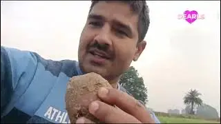 औषधीय गुणों से भरपूर आलू की नीलकंठ वैरायटी के बारे में। #farmers #potato