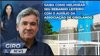 SAIBA COMO MELHORAR SEU REBANHO LEITEIRO COM O AUXÍLIO DA ASSOCIAÇÃO DE GIROLANDO