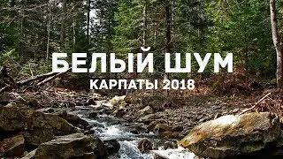 Белый Шум (река, карпаты 2018)