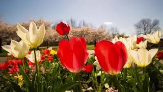 Relaxing Piano Music 2016, Piano Music Remix, Romantic Piano Music to Sleep, Study, Meditation music