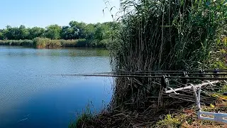 BEAUTIFUL VILLAGE POND! FISHING IN SUMMER!