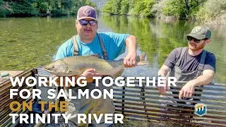 Counting Salmon: A Collaborative Effort on the Trinity River