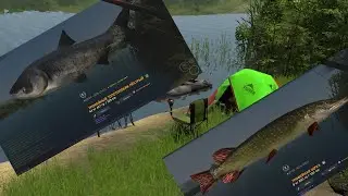 Fisher Online: Франция, трофейная точка. Щука, толстолобик пестрый. Борьба за последний метр лески)
