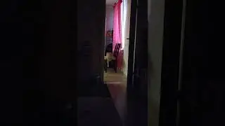 Кот ждёт пока мы проснёмся 