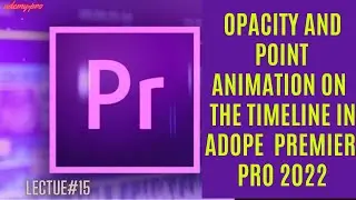 Opacity and Point Animation on the Timeline in Adobe Premier Pro  | Lecture 15 🌟🎞️