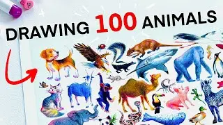 Drawing 100 Animals in 4 DAYS + Ohuhu Markers First Impressions!