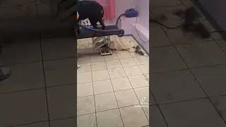 3 ноября 2022 г.
