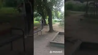 Мотивацию Ягдтерьера позавидует любой спортсмен