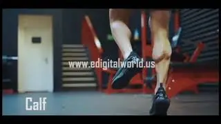 Our Gym (Advertisement)