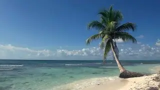 relax video