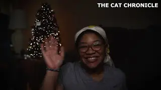 I found a stray cat & a Christmas miracle.
