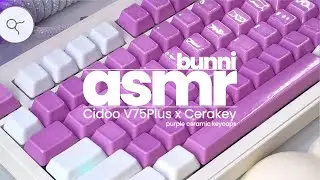 [ASMR] @cerakey Purple Ceramic Keycaps x @cidootech V75Plus x BSUN POP switches | #soundtest #asmr