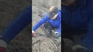 Открыли сезон магнита!!! Апрель 2024!