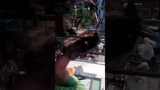 Убийство жесть драки