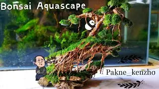 #53 Bonsai Aquascape mini ukuran 30cm