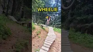 what's your style ? (mtb skills)      #bike #vtt #vélo #jump #wheeling