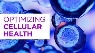 Cellular Health Explained: Optimize Cell Health To Thrive