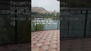 #НОРАК 2024