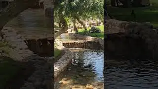 Отдых в Jaz Belvedere Resort Египет 