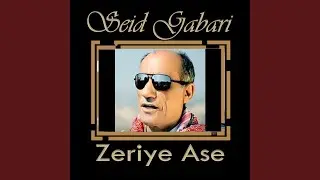 Ay Le Şewko