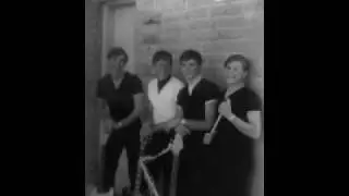 The Banshees - Never Said I Loved You