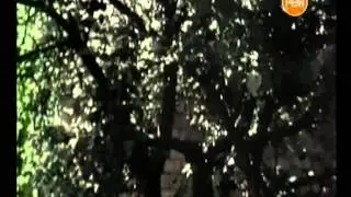 Детективные истории - Колдуны-разлучники