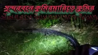 সুন্দরবনে কুমিরমারিতে কুমির | crocodile attack in sundarban#The Natural Moments 2015