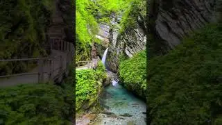 bu sevgi jonim fido