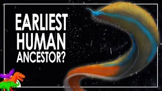 Pikaia – The First Vertebrate? Or Cambrian Oddball Cousin? | Dinosaurs EXPLAINED