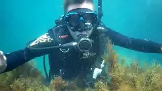 Дайвинг в Балаклаве 2018