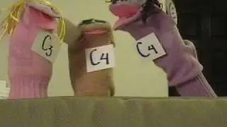 C4 Photosynthesis Rap