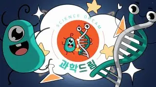 과학드림 라이브(과학의 밤) / 조개 집단 폐사 미스터리 / 개미와 OOO / 개미 VS OO