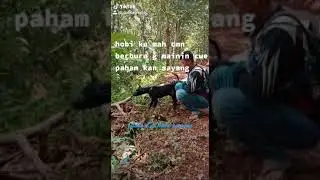 lgi mencoba taranak baru
