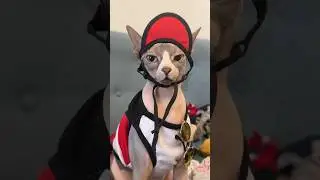 Кто-то много ест😂