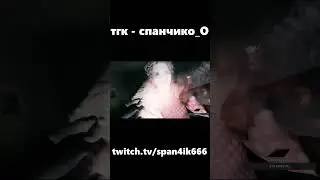 посидел за компом supernatural #shorts #supernatural #memes #хоррор #твич #клип #стрим #span4ik