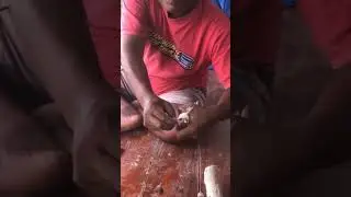 dapet ikan wader gaeess#shorts #shortsfeed #subscribe