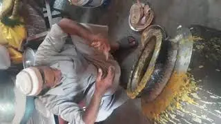 latest funny video Whasapp status videoo