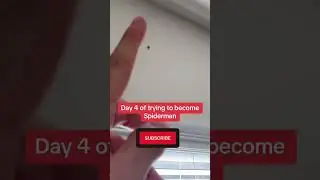 Day 4 Trying To Become Spiderman 🕷️